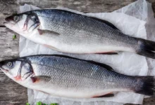 Sea Bass