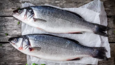 Sea Bass