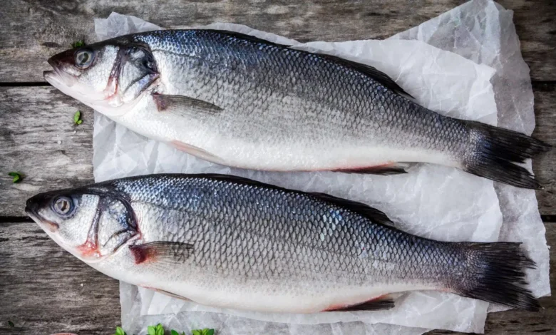 Sea Bass