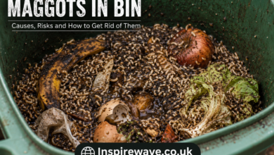Maggots in Bin