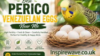 Best Perico Venezuelan Eggs Near Me