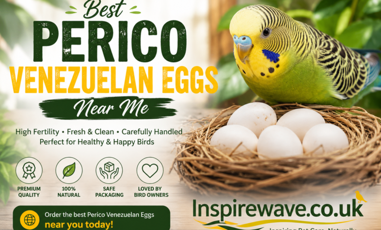 Best Perico Venezuelan Eggs Near Me