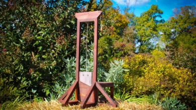 Guillotine