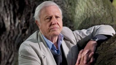Robert Attenborough