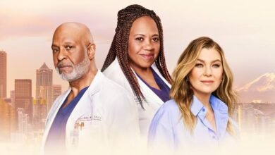 Grey's anatomy season 22