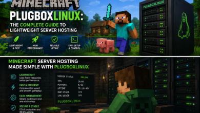 Minecraft PlugboxLinux
